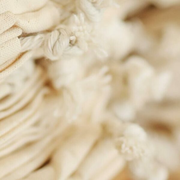 pexels-polina-tankilevitch-3735146